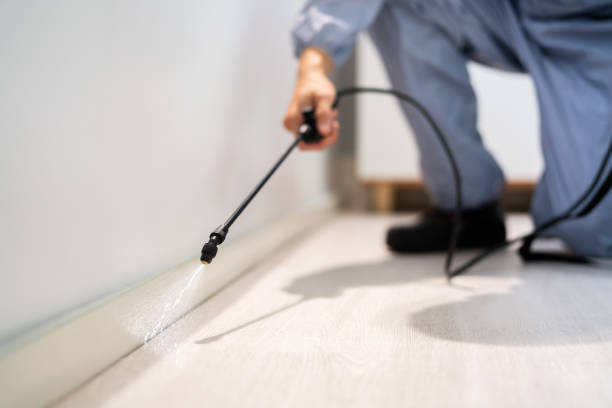 Licensed Termite Control service in Cook County County, MN - Nex Pest Control
