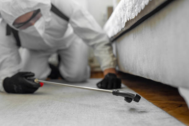Professional Termite Control technician working in Cook County County, MN